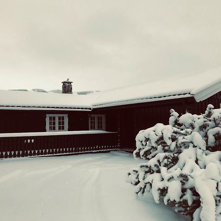 Vestlia Ski Гейло Экстерьер фото