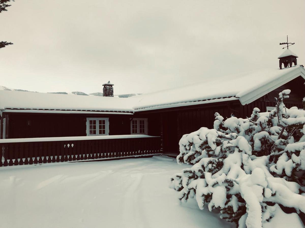 Vestlia Ski Гейло Экстерьер фото